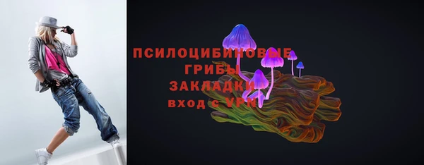 ПСИЛОЦИБИНОВЫЕ ГРИБЫ Арсеньев