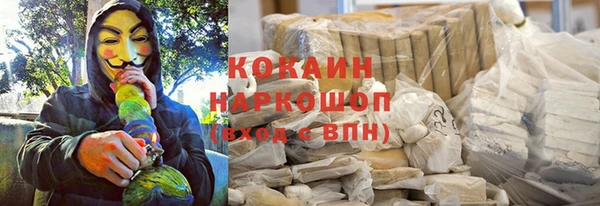 ПСИЛОЦИБИНОВЫЕ ГРИБЫ Арсеньев