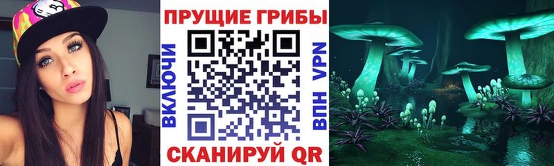 даркнет официальный сайт Ступино Псилоцибиновые грибы MAGIC MUSHROOMS